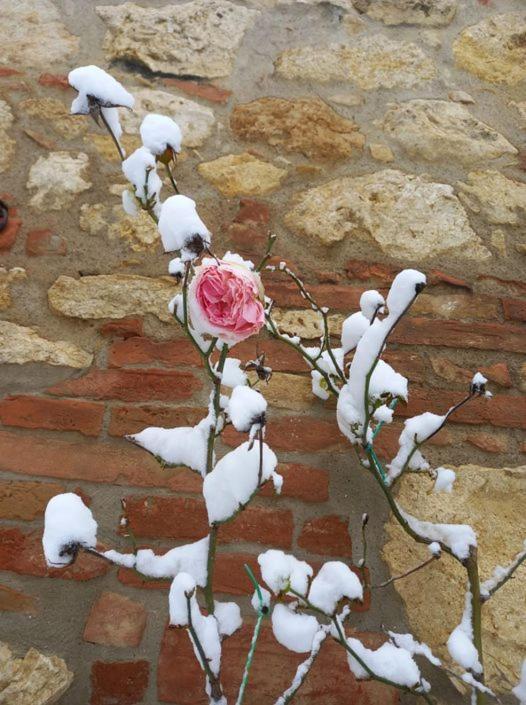 Agriturismo Ardene Villa Montepulciano Stazione Kültér fotó